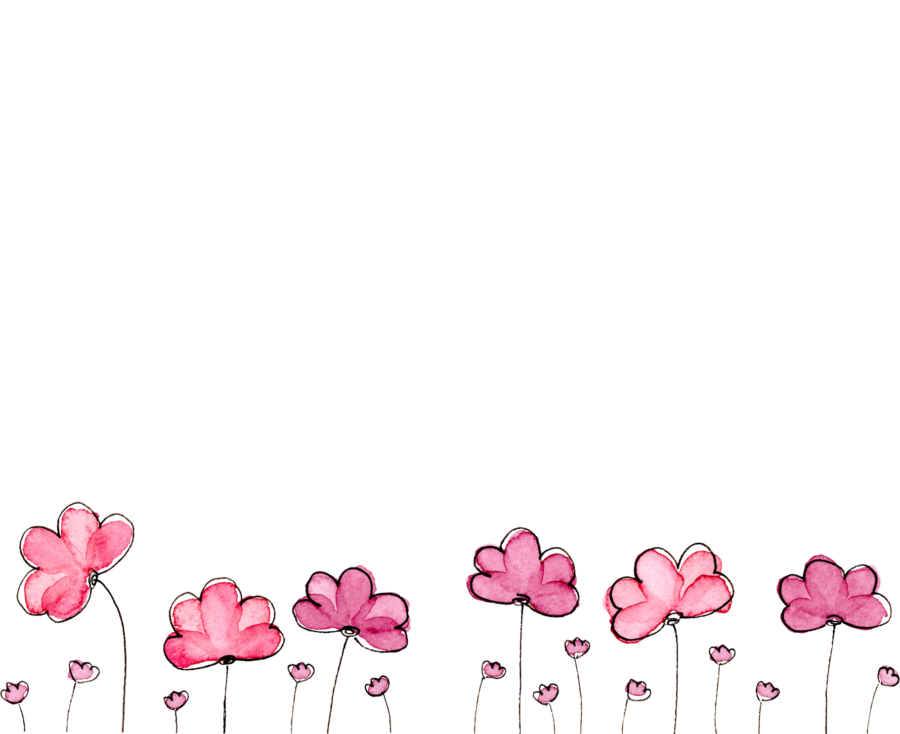 Pink Flowers Illustration